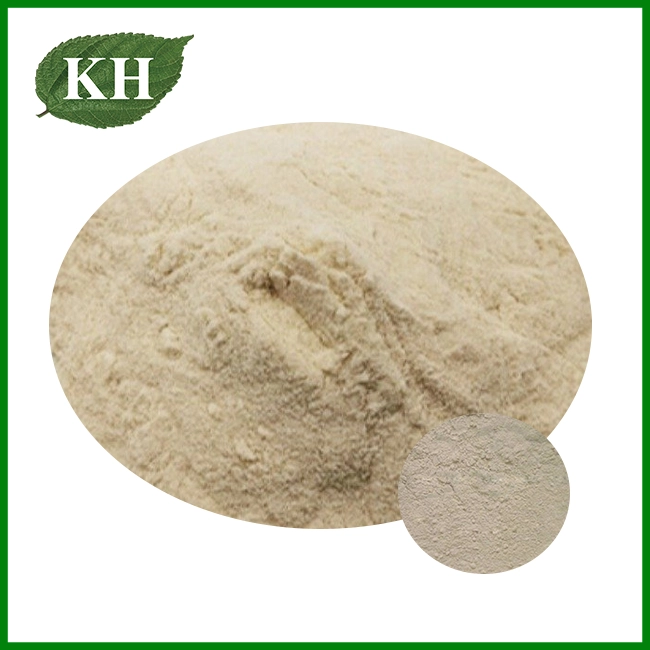 Citrus Pectin Powder